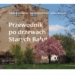 "Przewodnik po drzewach Starych Bałut". Rozmowa w Radiu Łódź 7 Przewodnik po drzewach Starych Bałut