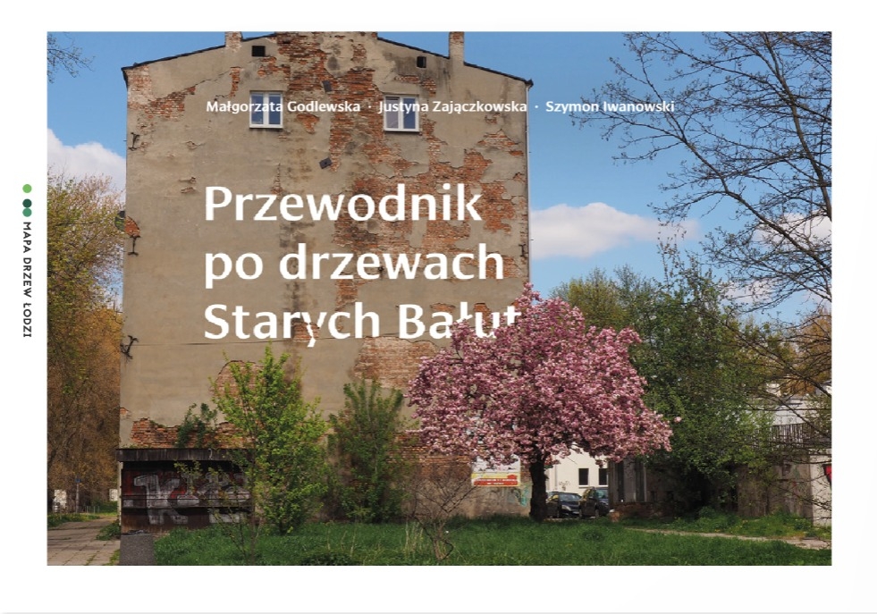 Przewodnik po drzewach Starych Bałut