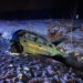 Wypadek na DK91 w miejscowości Borki. 3 osoby ranne 7 Wypadek na DK91 w miejscowości Borki. 3 osoby ranne