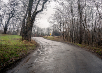 Przetarg na przebudowę ul. Liściastej w Łodzi