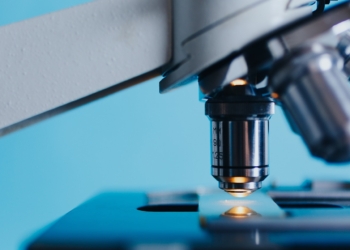 Noc Biologów 2023. Tajemnice życia od komórek do biosfery