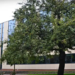 Studium Języka Polskiego dla Cudzoziemców UŁ zorganizuje letnie kursy NAWA 7 Studium Języka Polskiego dla Cudzoziemców UŁ zorganizuje letnie kursy NAWA