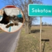 Skatowany pies znaleziony w okolicach Sieradza. Poszukiwany oprawca czworonoga - za jego wskazanie wyznaczono 40 tys. zł nagrody 12 Skatowany pies pod Sieradzem