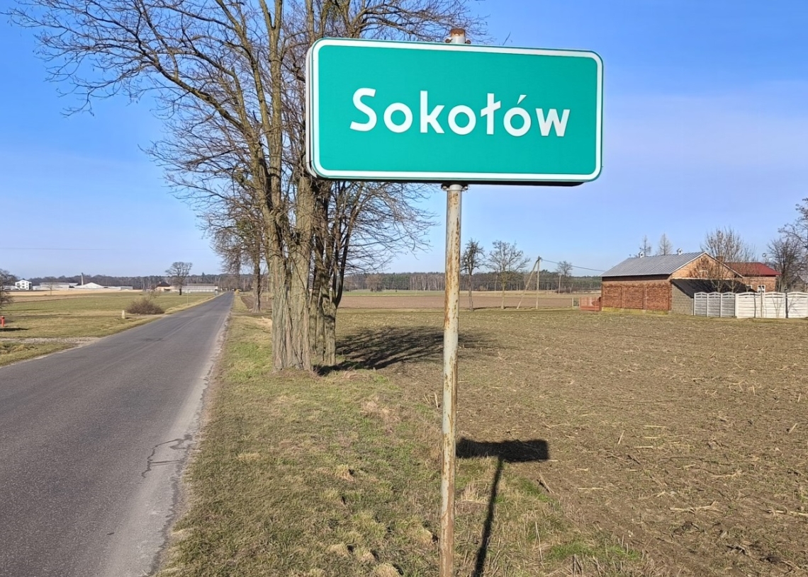 Skatowany pies pod Sieradzem