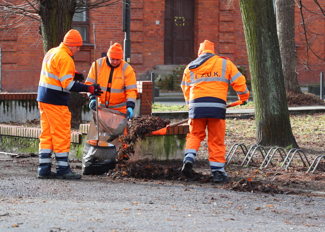 Rozpoczęło się sprzątanie łódzkich parków. Łącznie do uporządkowania jest 600 hektarów