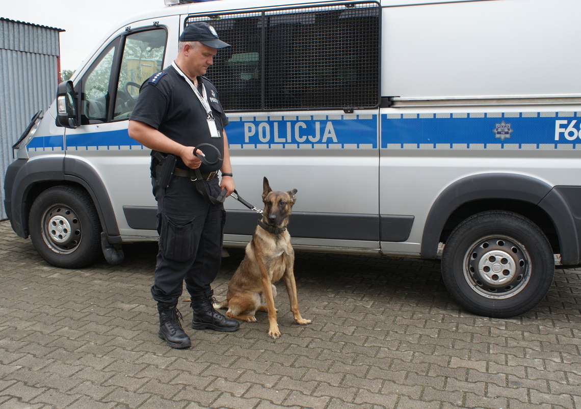 Policyjny pies Lares z wieruszowskiej komendy powiatowej przeszedł na emeryturę 1 Pies Lares