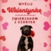 Walentynkowa kampania Fundacji Funny Pets w Czartkach promuje adopcje psów i kotów 7 Akcja promująca adopcje zwierząt ze Schroniska w Czartkach