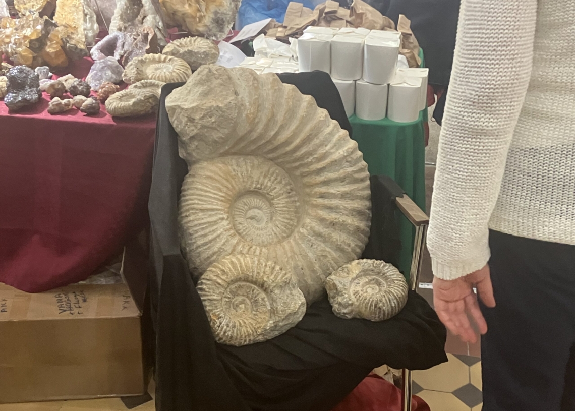 Festiwalu Minerałów i Biżuterii - Skarby Ziemi Łódź. Fot. A. Matuszewska