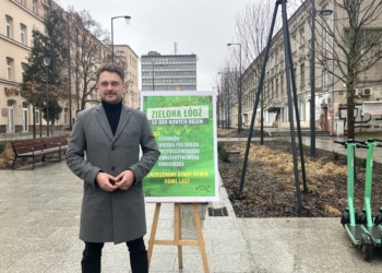 50 tysięcy nowych drzew w Łodzi