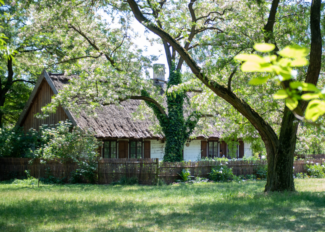 Zimowy spacer po Ogrodzie Botanicznym w Łodzi 1 Zimowy spacer po Ogrodzie Botanicznym w Łodzi