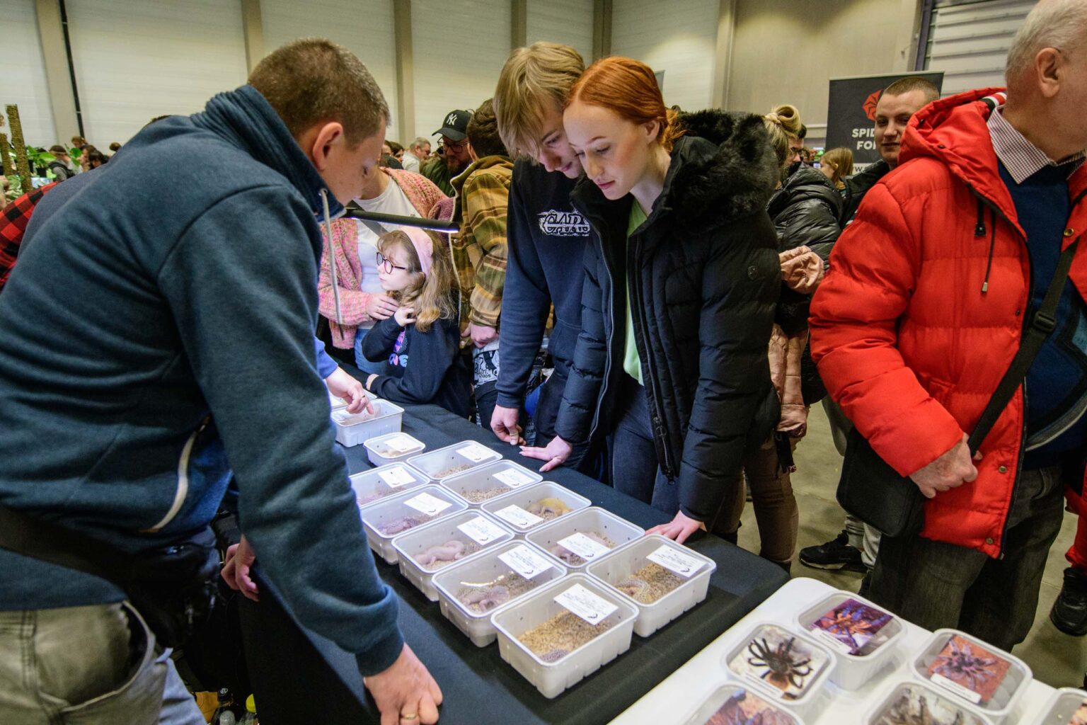 Targi egzotyczne w hali EXPO 13