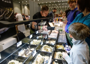 Targi Egzotyczne Zwierzęta w łódzkiej Hali EXPO