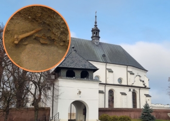 Ludzkie szczątki znalezione w kościele w Poddębicach