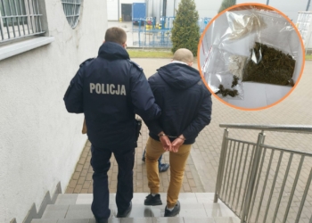 Zatrzymani w Zduńskiej Woli