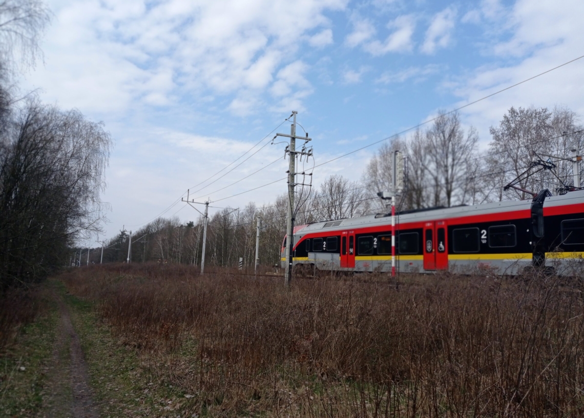 Pociąg ŁKA potrącił pieszego między stacjami Jedlicze a Zgierz Północ