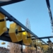 Nowy tor sprawnościowy nad Zalewem Zadębie w Skierniewicach