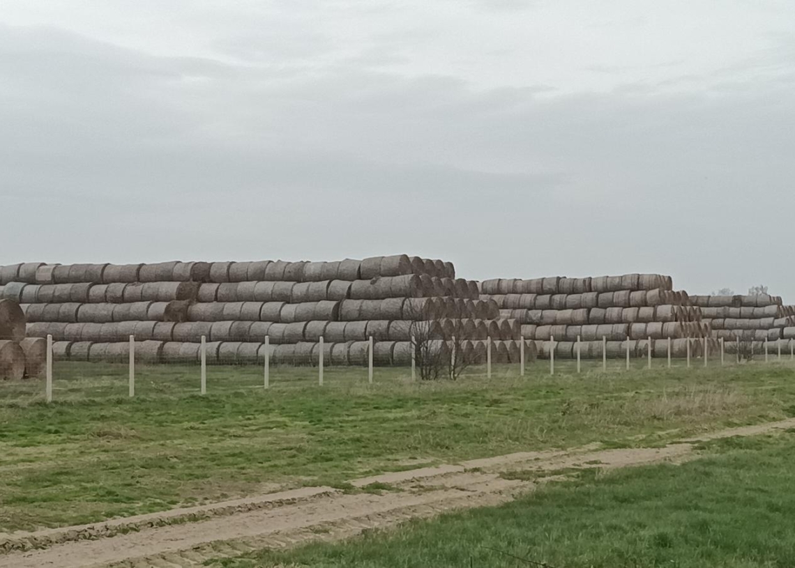 Kurtyny antyodorowe powstaną w Woli Makowskiej