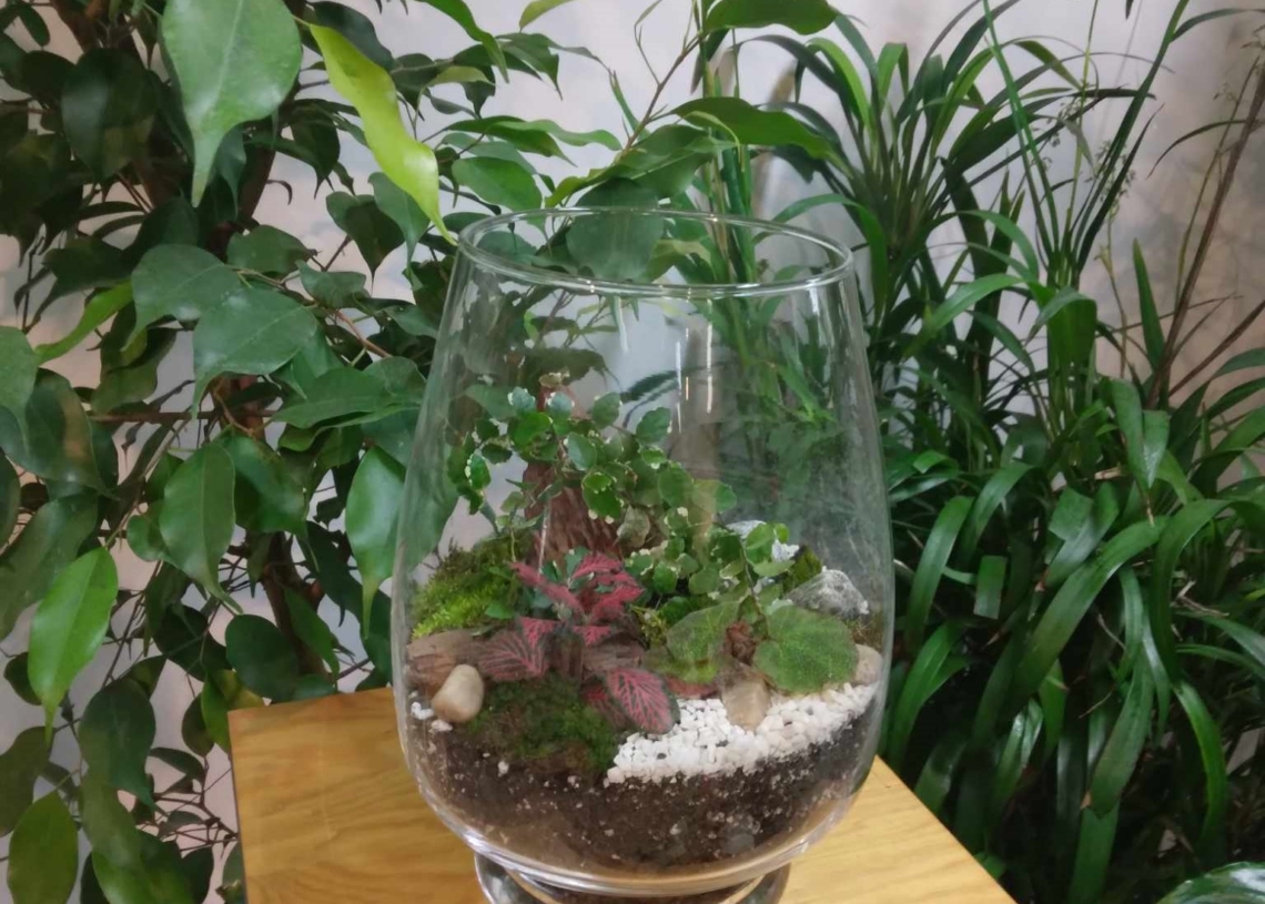 "Ogrody w szkle" - wystawa w Ogrodzie Botanicznym w Łodzi