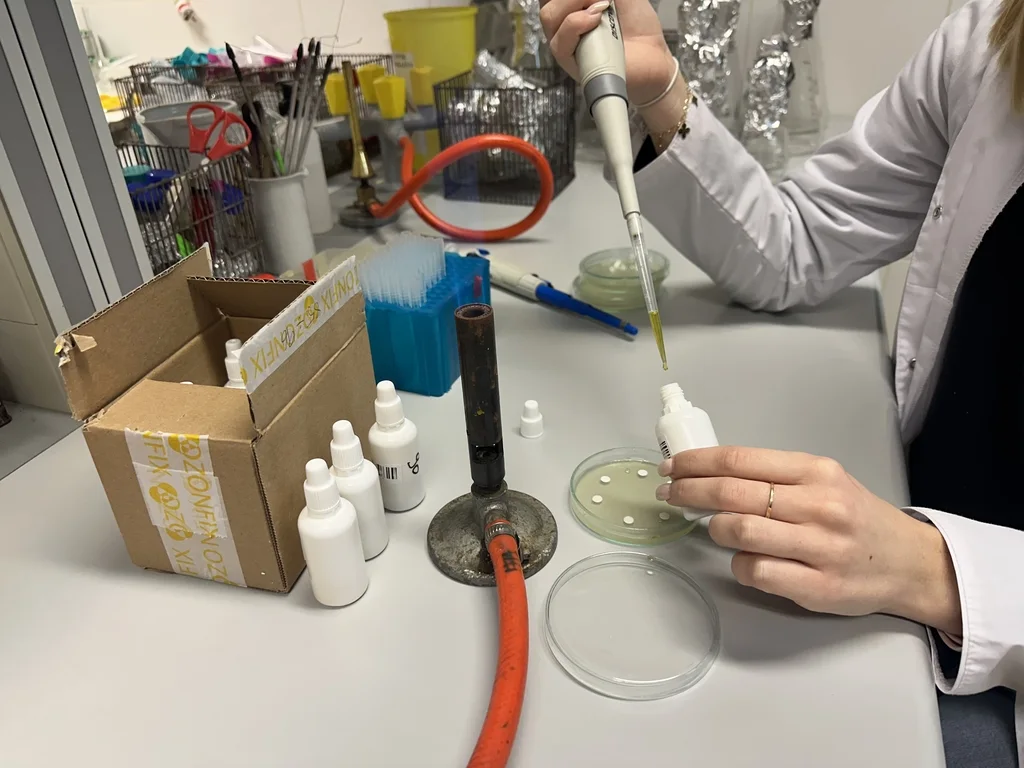 Badanie w ramach Science Hub UŁ - olej i ozon sposobem na mikroba 1 Badanie w ramach Science Hub UŁ - olej i ozon sposobem na mikroba
