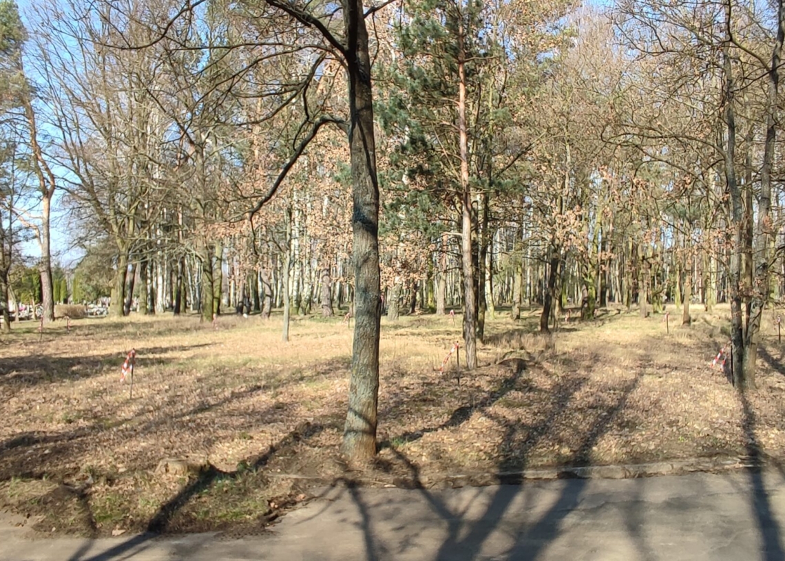 „Las Pamięci” na cmentarzu przy Szczecińskiej