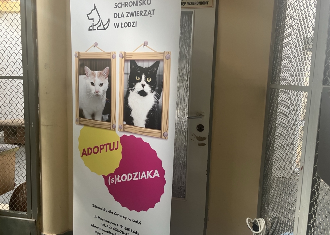 Rekordowa liczba adopcji w łódzkim Schronisku dla Zwierząt na Marmurowej