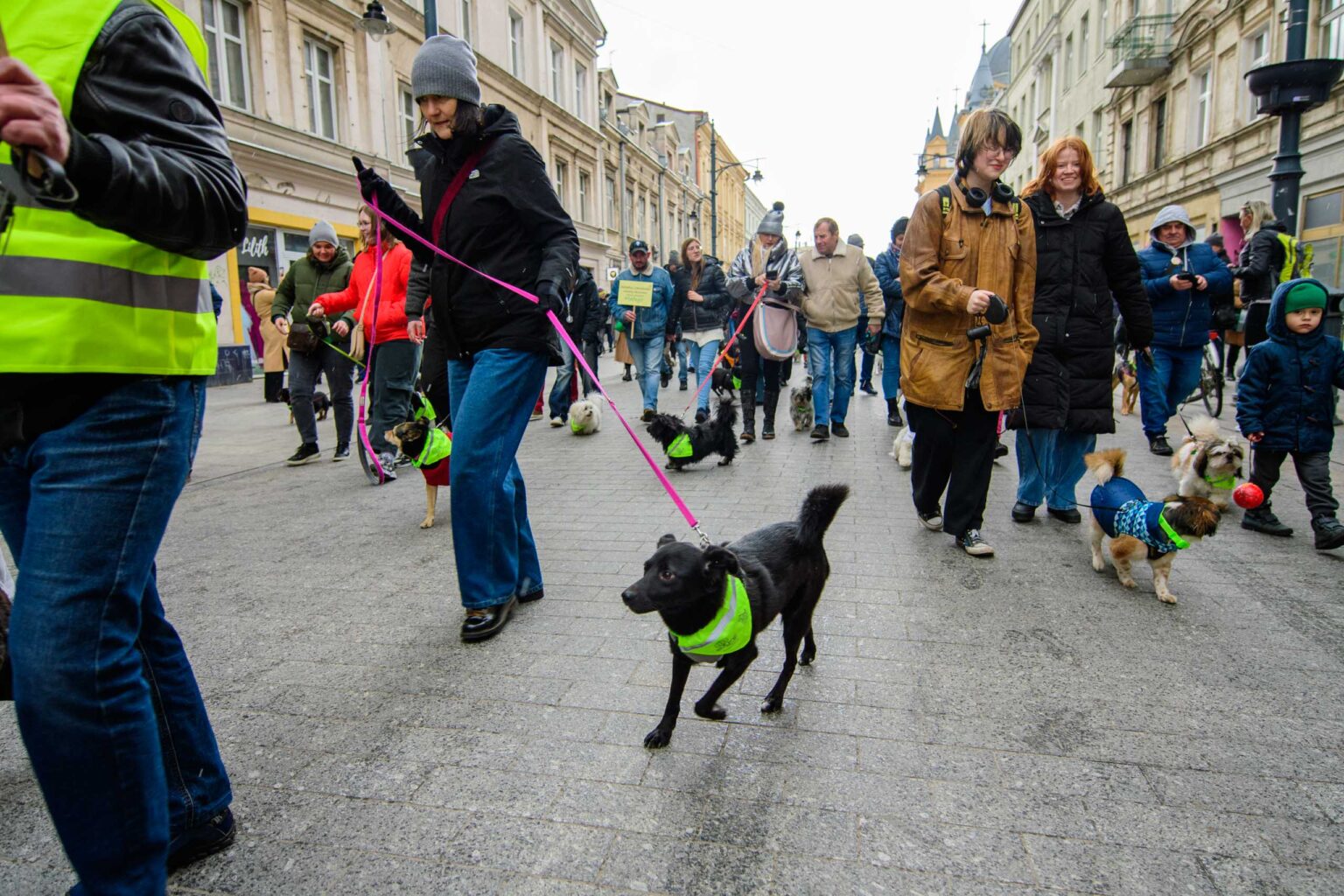 Parada Kundelkow 14