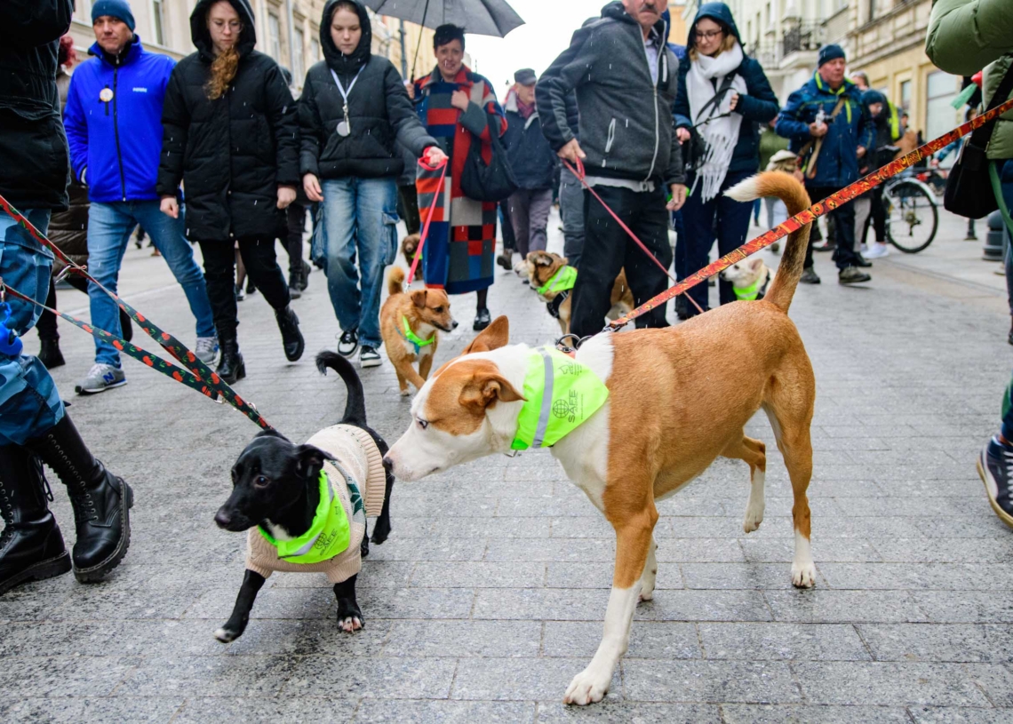 Parada kundelków na Piotrkowskiej