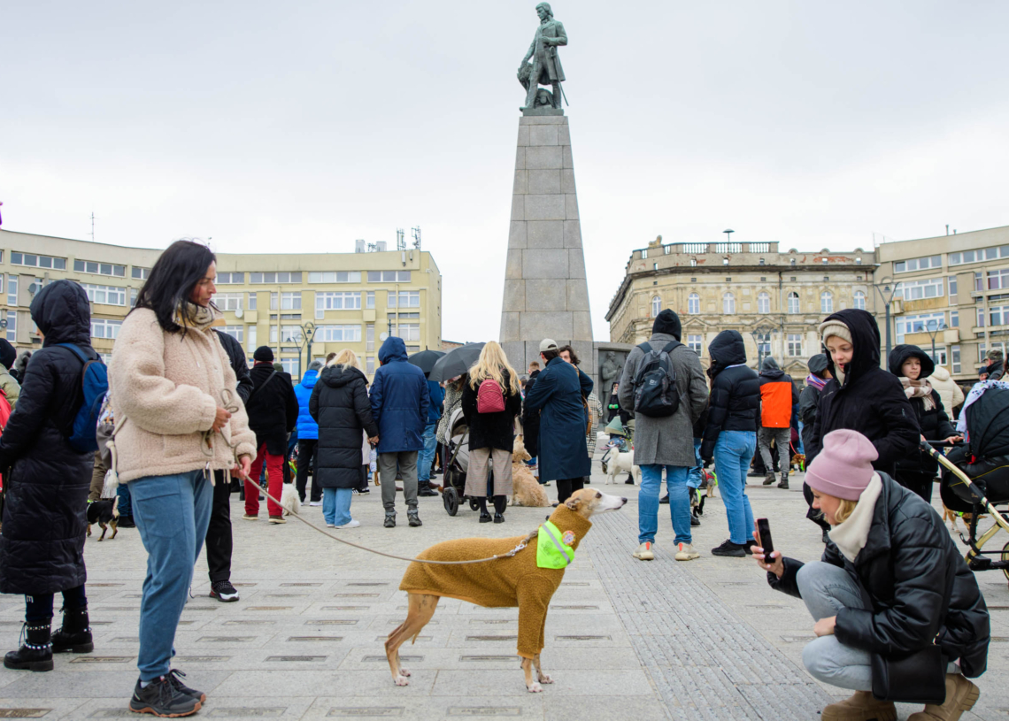 Parada kundelków w Łodzi