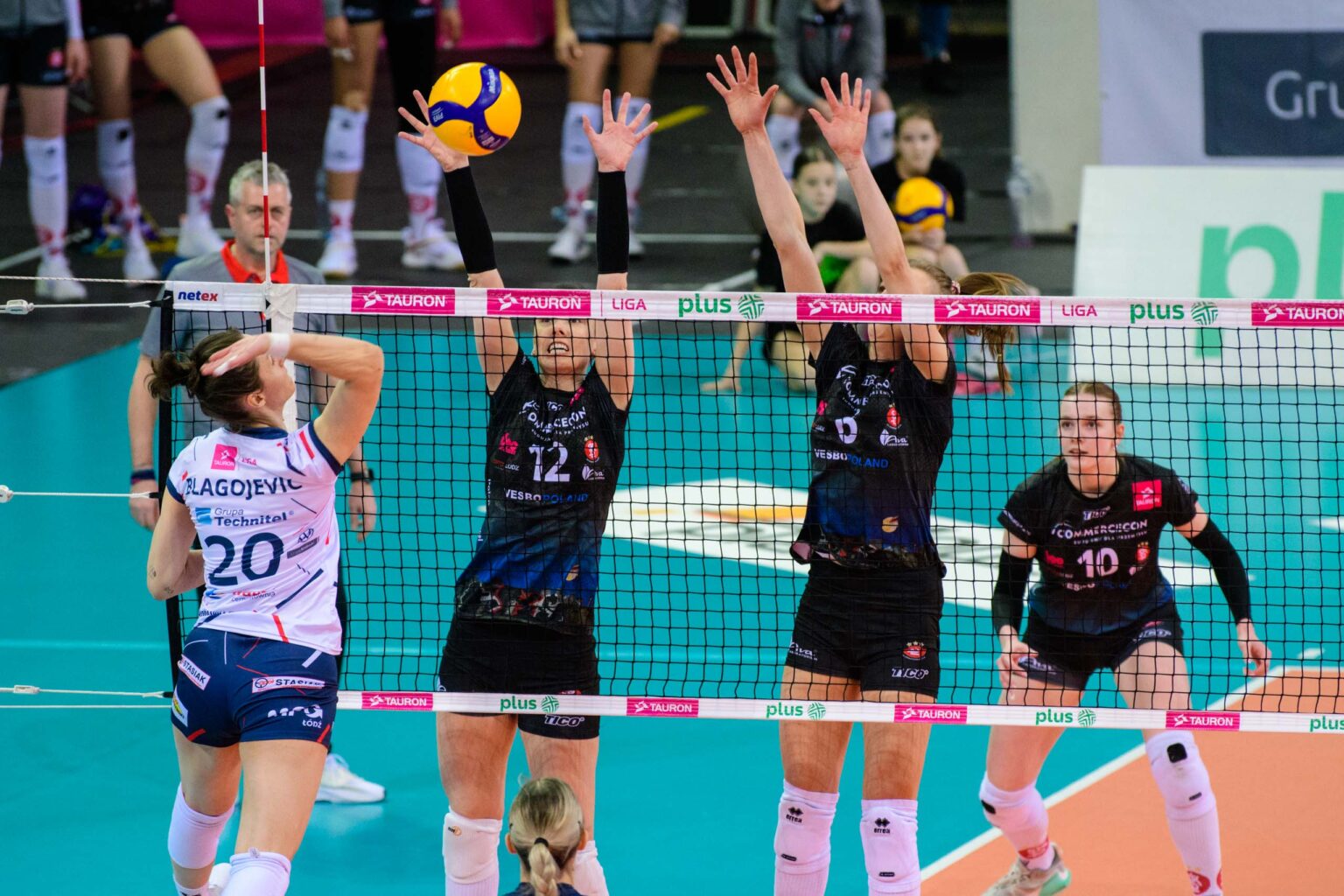 Siatkarskie derby Lodzi Grot Budowlani vs LKS Lodz Commercecon 10