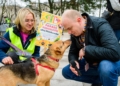 Schronisko dla zwierząt w Łodzi poszukuje wolontariuszy
