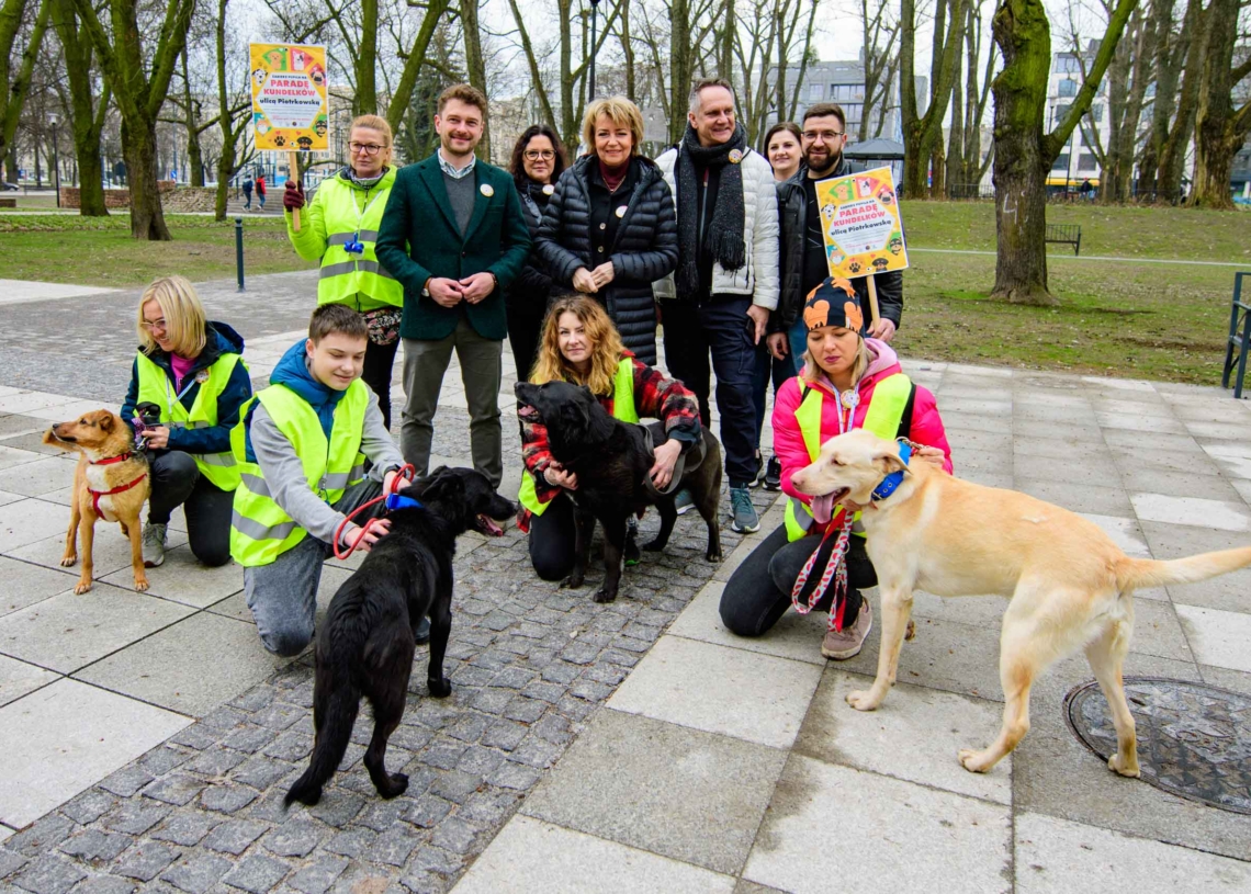 Schronisko dla zwierząt w Łodzi poszukuje wolontariuszy