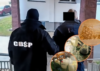 Sprzedawali narkotyki w Darknecie. Zostali zatrzymani