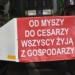 Kolejny protest rolników. Dzisiaj (5 marca) w powiecie łęczyckim 6 Protest rolników