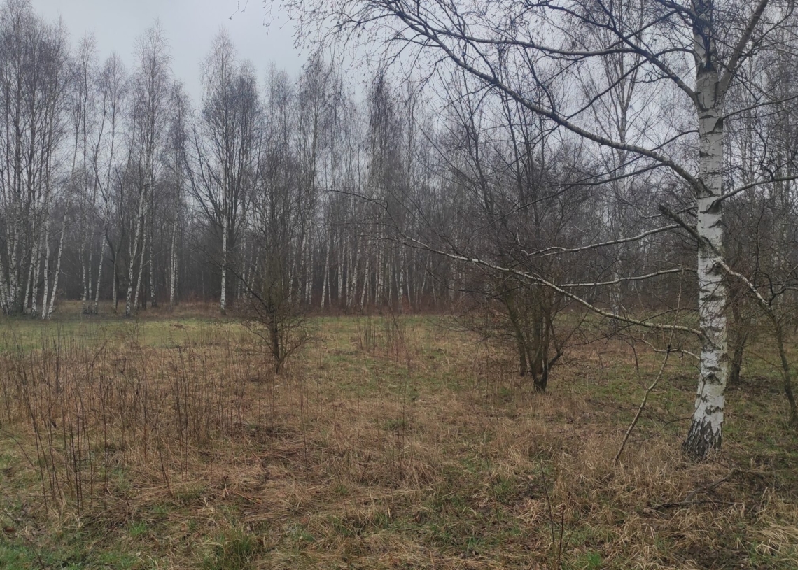 Zielony Lublinek - nowy park w Łodzi