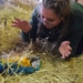 Ponad 100 zwierząt z nielegalnego transportu w ZOO Borysew