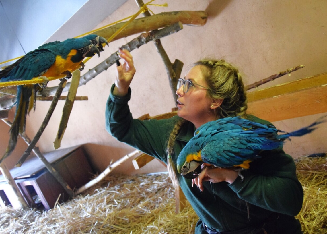 Ponad 100 zwierząt z nielegalnego transportu w ZOO Borysew