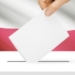 Wybory samorządowe 2024. Eksperci o kampanii wyborczej. „Bardzo nieprofesjonalna” 8 Wybory samorządowe 2024