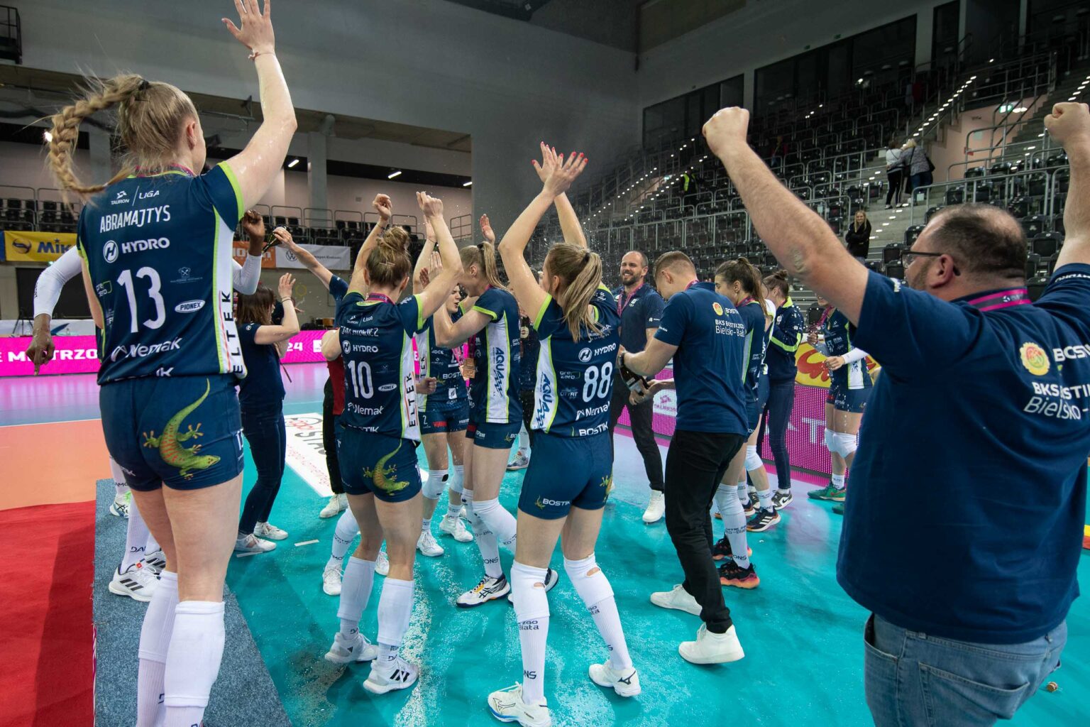 BKS Bostik z brazem radosc i dekoracja 10
