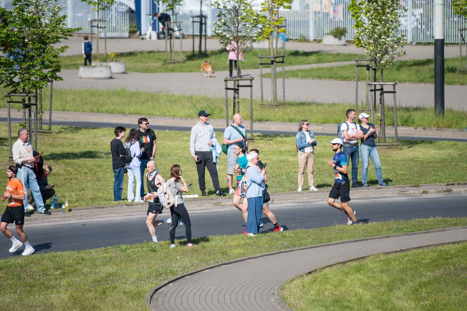 DOZ Maraton 2024 fot Sebastian Szwajkowski 80