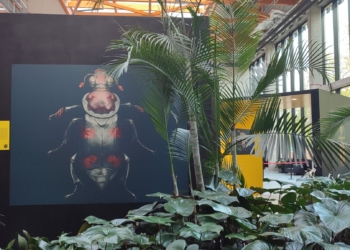 2. rocznica Orientarium ZOO Łódź. Otwarto wystawę o owadach