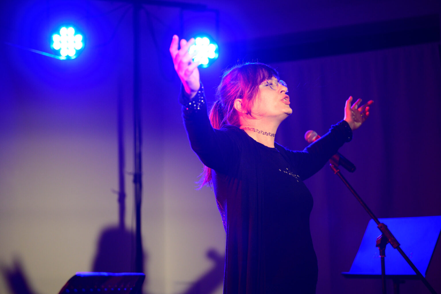 Koncert harytatywny dla Alicji Borkowskiej 13