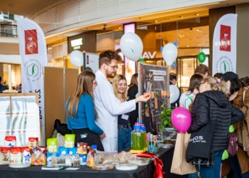 Piknik naukowy w Manufakturze