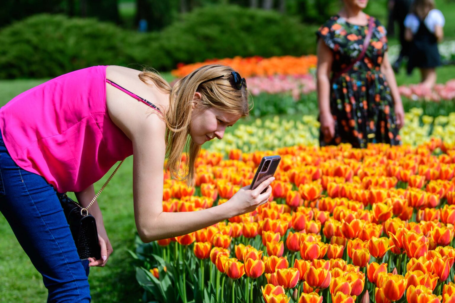 Zakwitly tulipany wiosna w ogrodzie botanicznym 11