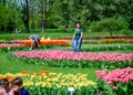 Miasto ogłasza konsultacje ws. zmian w Ogrodzie Botanicznym w Łodzi
