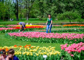Miasto ogłasza konsultacje ws. zmian w Ogrodzie Botanicznym w Łodzi