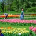 Miasto ogłasza konsultacje ws. zmian w Ogrodzie Botanicznym w Łodzi 9 Miasto ogłasza konsultacje ws. zmian w Ogrodzie Botanicznym w Łodzi