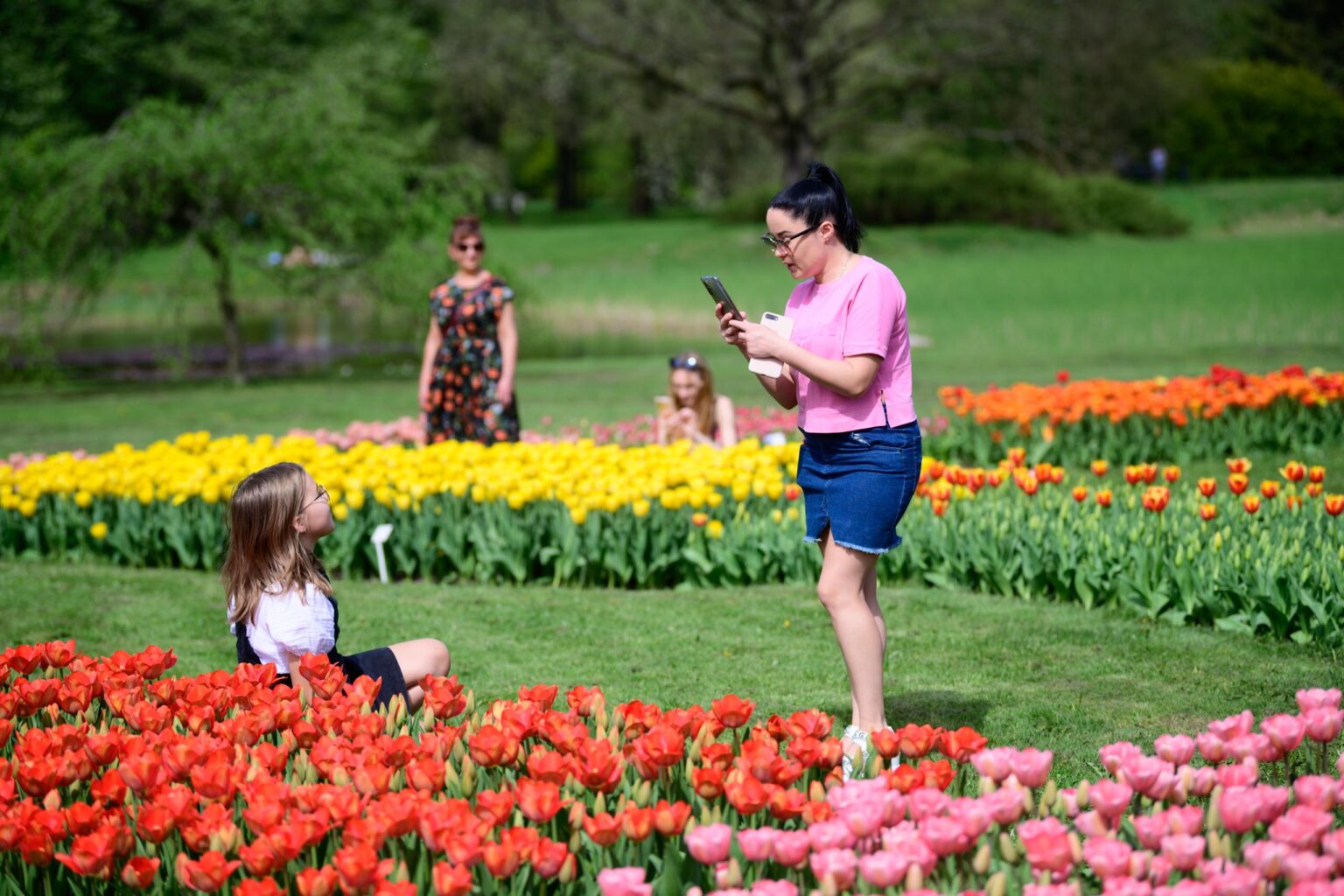 Zakwitly tulipany wiosna w ogrodzie botanicznym 40