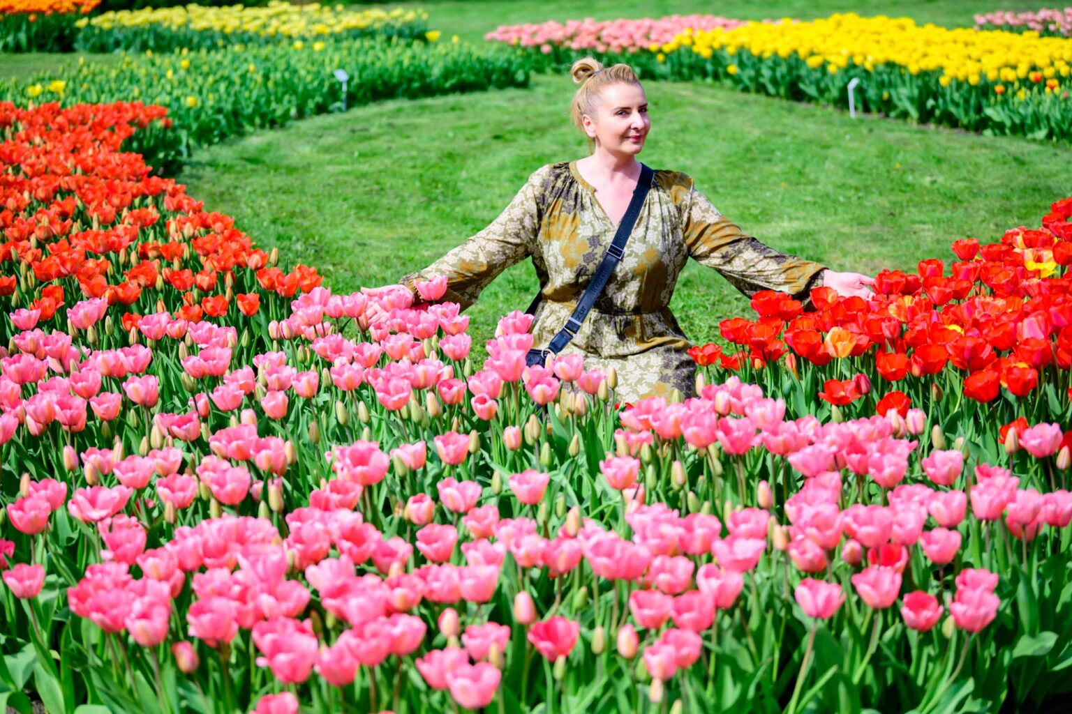Zakwitly tulipany wiosna w ogrodzie botanicznym 67