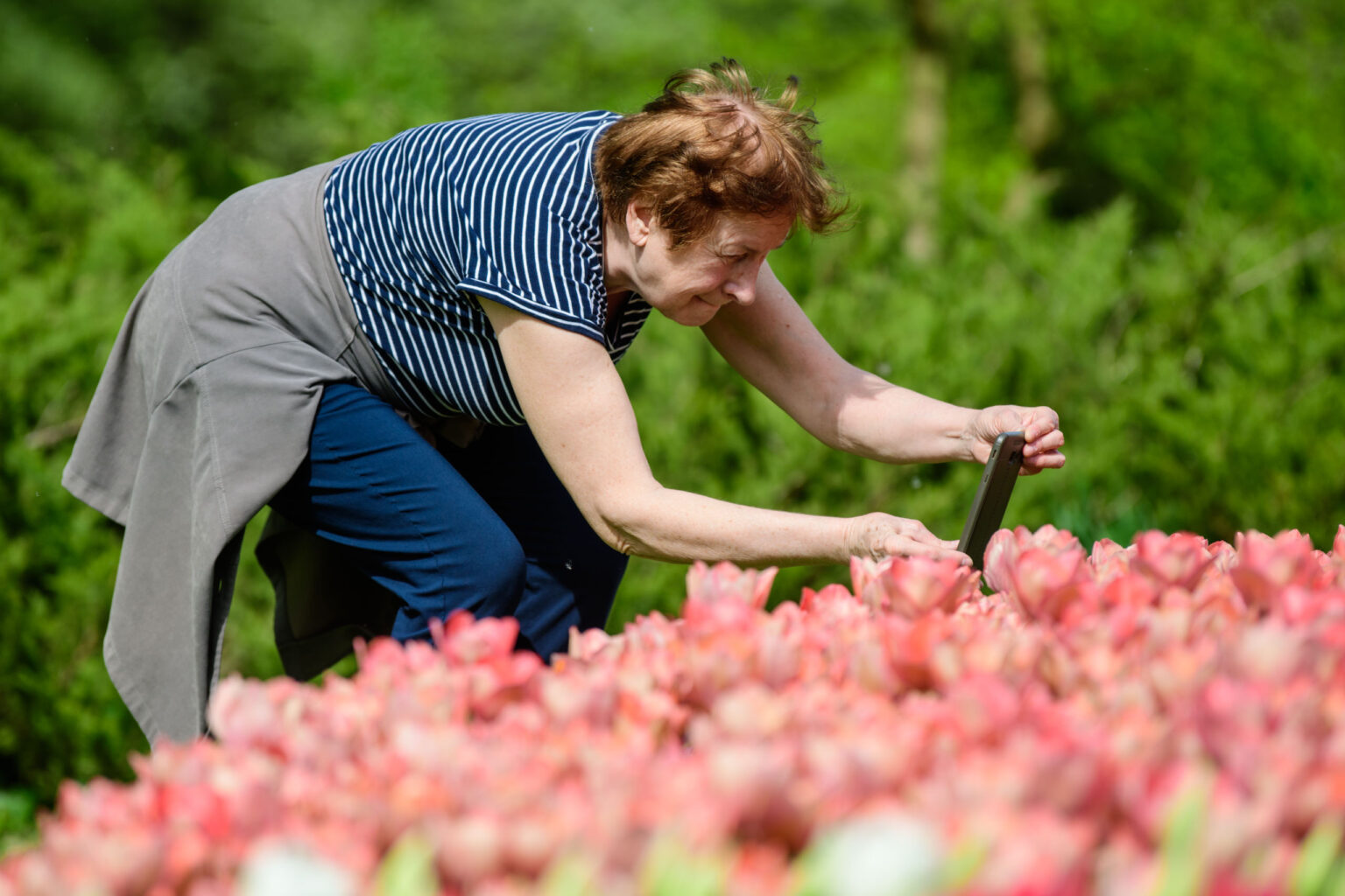 Zakwitly tulipany wiosna w ogrodzie botanicznym 7