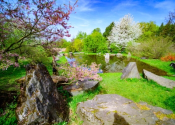 Będzie dżungla w Łodzi. Ogród botaniczny ma nie ucierpieć
